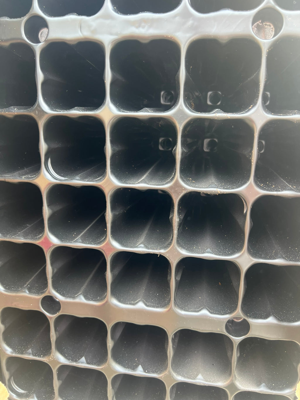 Bandeja Plantel de 220cc 40 alveolos