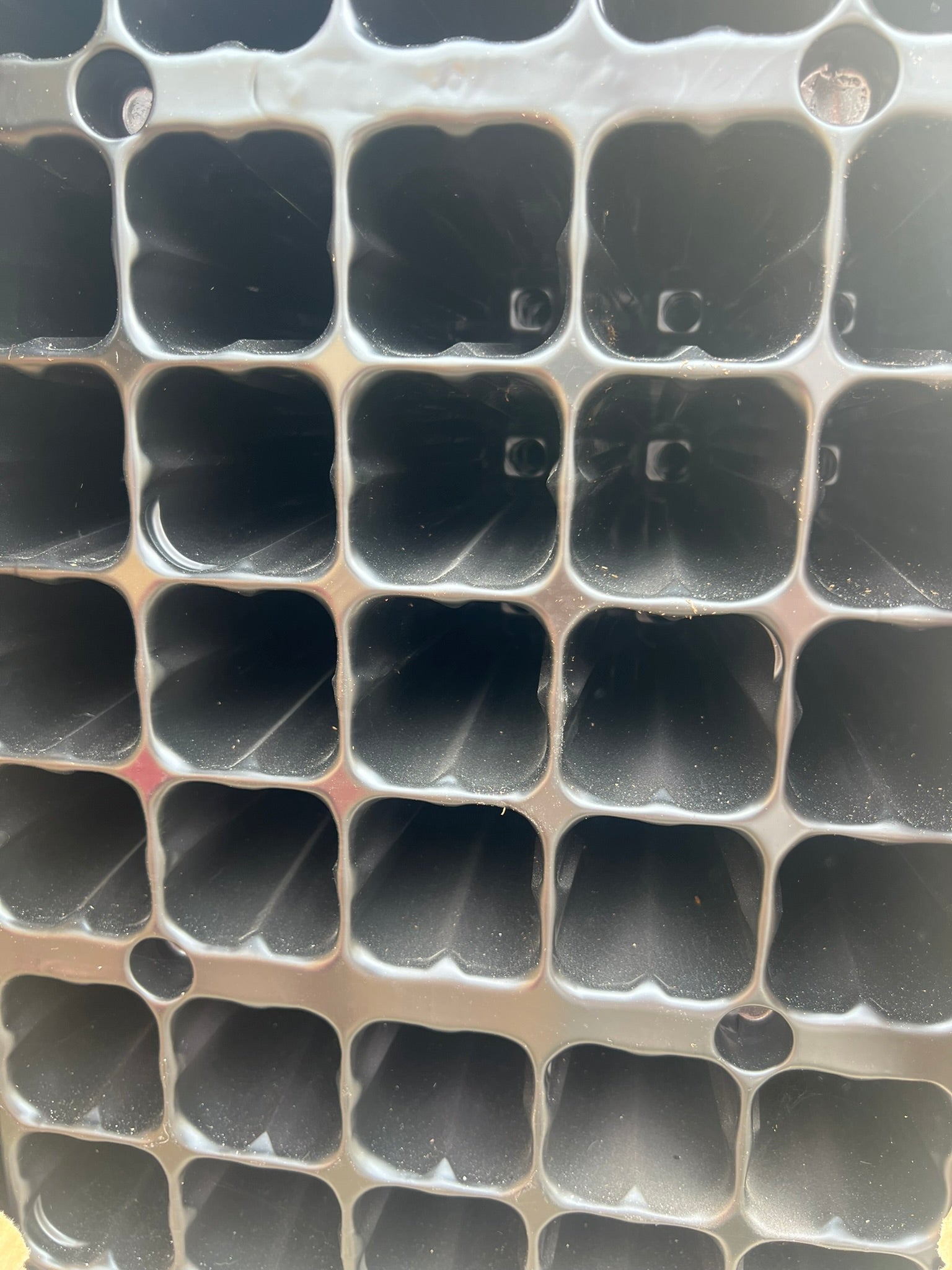 Bandeja Plantel de 220cc 40 alveolos